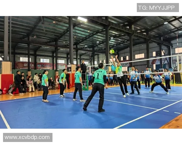 武汉排球队强势崛起排球力量排行榜荣获第三名